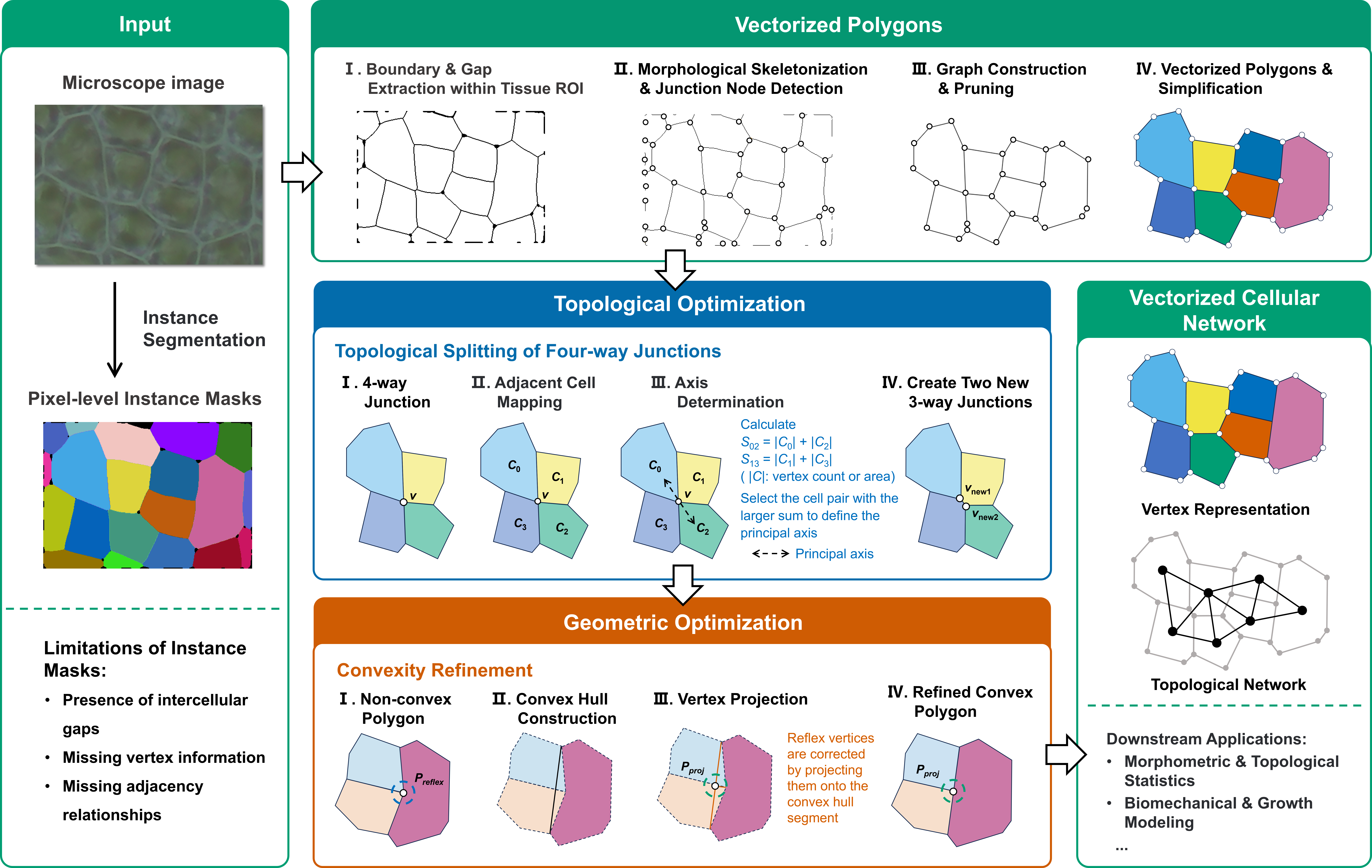 TCPCN workflow for topology-constrained polygonization