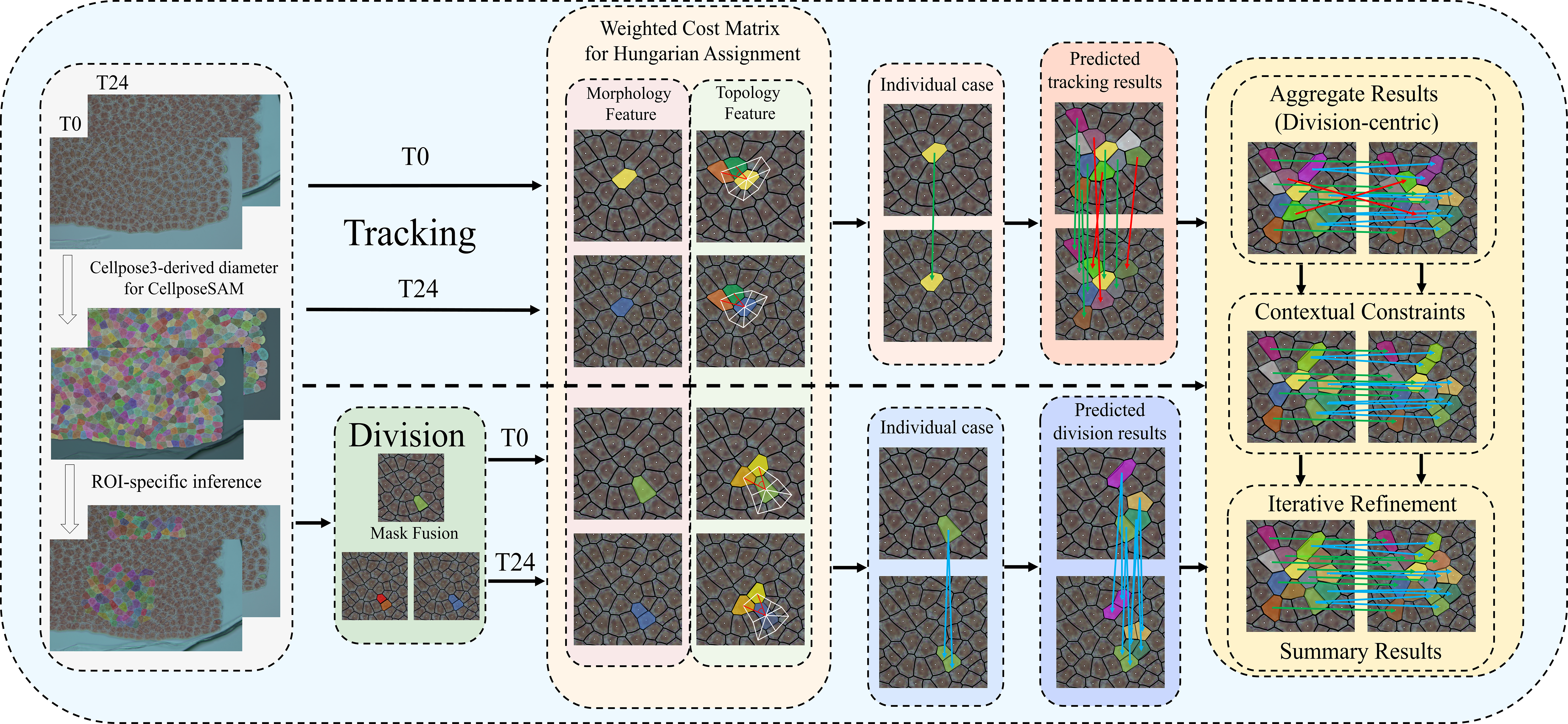 TopoInherit workflow for robust cell lineage reconstruction